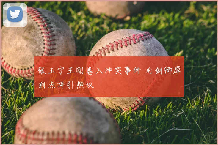 张玉宁王刚卷入冲突事件 毛剑卿犀利点评引热议
