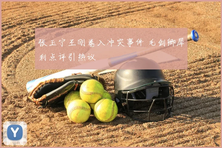 张玉宁王刚卷入冲突事件 毛剑卿犀利点评引热议